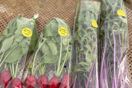 【クリスマスは豪華に時短‼️】サラダセット4〜5種類入り🌱UCHIPONIFARMからのクリスマスプレゼント🎁