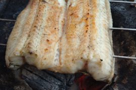 活うなぎ白焼き調理