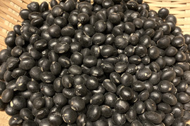 訳アリ🉐【北海道産】農薬化学不使用‼️黒豆‼️400g＋おまけ☺️メール便
