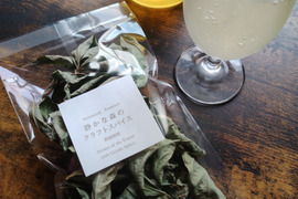クラフトコーラキット|くろもじと山椒 和洋スパイス|静かな森のスパイス