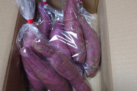 さつまいも【シルクスイート】約3.0kg