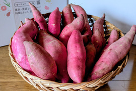 しっかり甘い、しっとり旨い「晩秋のお月見さつまいも」5kg