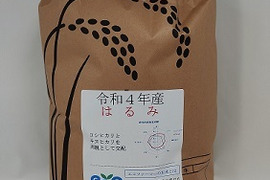 好評につき追加「12名様限定」　お米10Kｇ　令和4年産「はるみ」　冷めても美味しい