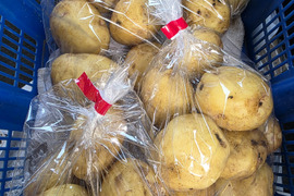 旬のおまかせ野菜セット ！！