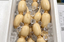 ※（予約注文）全国でも稀少な自然栽培レンコン（氷詰め発泡スチロール4キロ）