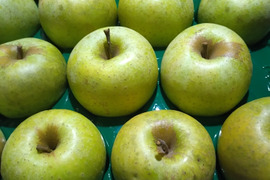 芳醇な香り『王林』22〜23個入り