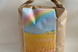 令和7年産　福島県産　にじのきらめき🌈