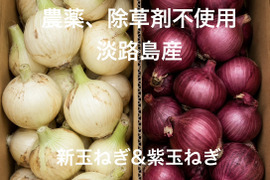 農薬、除草剤不使用！【数量限定】淡路島新玉ねぎ2.5kg 紫玉ねぎ2.5kg 計5kg ハーフ＆ハーフ「みずみすしさの新」と「彩りの赤」を食べ比べ。