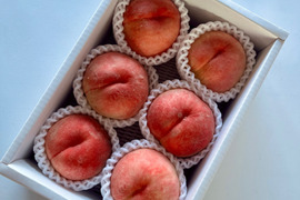 《旬の白桃》桃ギフト 2kg