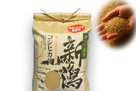 🎯新米🌾味に自信あり玄米5kg❇️令和7年お米ソムリエが作る🌾新潟県五泉市四ヶ村産🌾特栽米コシヒカリ🍚🙋なんと😲❇️4600円❇️【翌日発送 毎日便 対応】