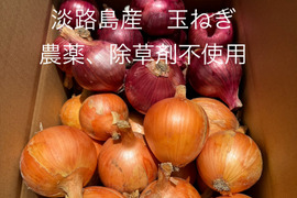 【訳あり】農薬、除草剤不使用！淡路島玉ねぎ1.5kg 紫玉ねぎ1.5kg 計3kg