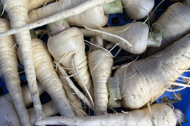 パースニップ / parsnip 600g