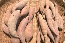 自然栽培〈サイズ混合5㎏・細いサイズ5㎏〉大分県産さつまいも 10㎏セット