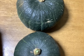 人気大玉栗カボチャ こふき 驚きのホクホク感(1,2~1,5㎏程度)
