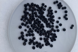 天然ナツハゼ　１キロ　京都産 プロトン冷凍