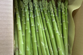 桃川農園｜初夏の甘みたっぷりグリーンアスパラガス（みどり認定野菜・太物中心）2kg