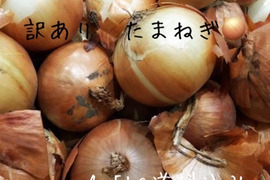 訳あり 玉ねぎ 軽井沢産高原野菜 サイズ混合 省き品 規格外 4.5kg