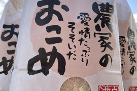 【定番品種】北海道米ななつぼし白米(5キロ)