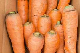 芳醇な香りのにんじん！アロマレッド2kg