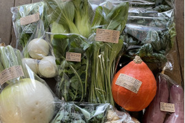 【贈り物にも！】彩り豊かな野菜の秋冬野菜10種類前後/めずらしい野菜も入ってるかも？【農薬・化学肥料不使用】