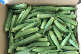 【鹿児島産】甘塩オクラ箱込み2キロ^_^