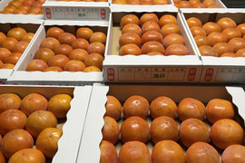 柿の王道！富有柿　５キロ　豊作祭り柿のドライフルーツ小袋おまけ付き