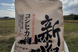 R7年度新米　新潟県岩船産コシヒカリ5kg　冷蔵庫保管品　白米