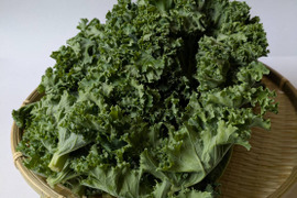 ケールの通販｜その他葉物野菜｜食べチョク｜産地直送(産直)お