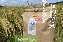 玄米  R４年産 特別栽培米　京都こしひかり 10K