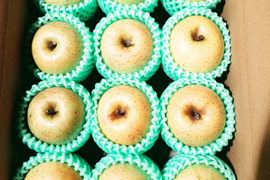 王林好きな方へ【小玉/特別栽培/ご家庭用/】王林2.5キロ