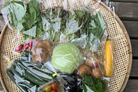 奈良県の野菜セットで産地直送の商品｜食べチョク｜産地直送