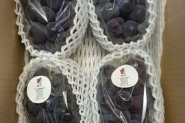 岡山県産藤稔2kg(3〜4房)