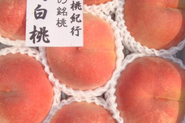 夏・お店屋さん ラスト１箱！激安♪生あんず【信州サワー】約３キロ