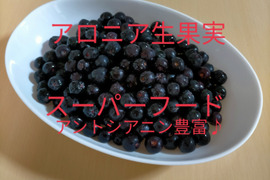 ★期間数量限定【ｽｰﾊﾟｰﾌｰﾄﾞ】令和7年産  アロニア生果実　1ｋｇ　フレッシュアロニア（ｱﾝﾄｼｱﾆﾝ・ﾎﾟﾘﾌｪﾉｰﾙ豊富♪）新潟県産　アロニア