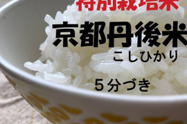 白米　R４年産　特別栽培米　京都こしひかり　５K