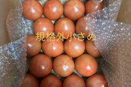 規格外小さめ★80サイズ箱詰め合わせ