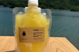 【夏ギフト】冷凍河内晩柑ジュース6本セット（1本150ml）