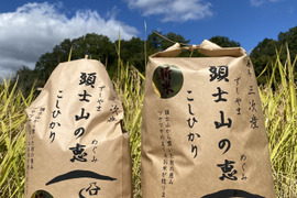 【特別栽培米】2022年度産　新米　頭士山の恵み！コシヒカリ100％　10㎏