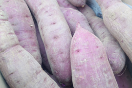 【熟成べにはるか】蜜たっぷり・しっとり甘い🍠焼き芋に最適！S〜Lサイズ混合／5kg／土付き