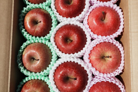 ☆3種の《ふじ》【食べ比べ】☆農薬不使用りんご入り☆3キロ（８〜１２玉）