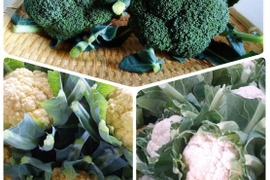 《熊本県産》ブロッコリー・カリフラワーセット