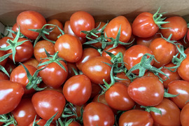 切ったらハート⁈  美味しくてかわいいトマトベリー　2kg(1kg 2箱)