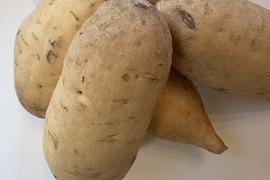 今話題の白いサツマイモ「きみまろこ」
上品な甘さとまろやかな口ざわり
5キロ入り大きめサイズミックス