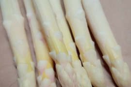 ホワイトアスパラガス