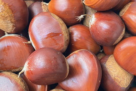 低温熟成・無燻蒸 サイズバラ栗 (2㎏)