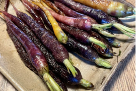 【スペイン在来固定種】自然栽培ミニニンジン（250g）