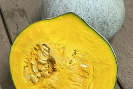 【2玉約3ｋｇ】八ヶ岳西麓産　農薬化学肥料不使用　『奥蓼科の伝統かぼちゃ』