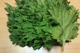 香り高い！大中しそセット60　おまけ付き