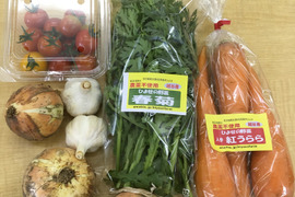 【人気No2】『単身者向け』みんなのお野菜 お試しパック おまかせ 5品