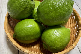【淡路島産】今だけ！璃の香グリーンレモン🍋 爽やかな香り・ジューシーな果汁